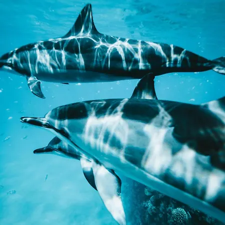 Apartamento Sara & Gino's House Corralejo