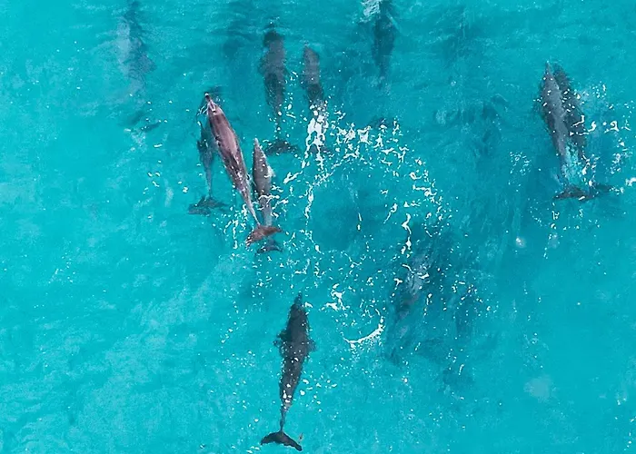 Sara & Gino Family & Friends Apartman *