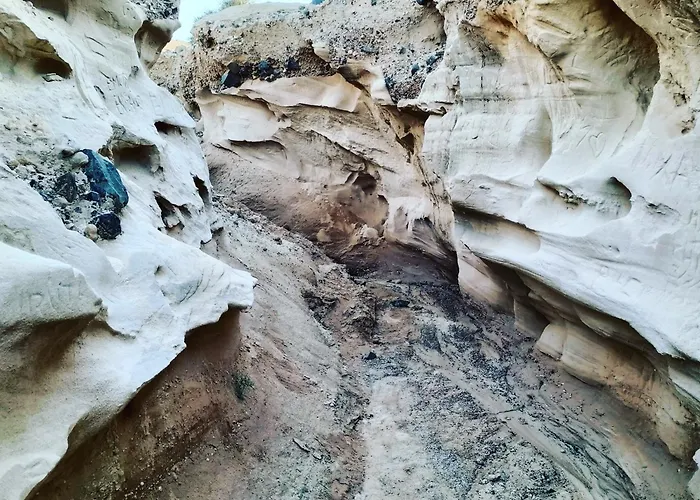 Sara & Gino Family & Friends