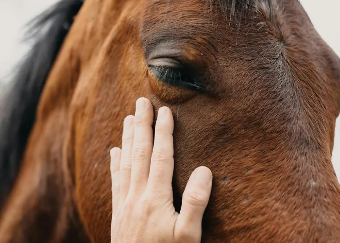 Sara & Gino Family & Friends * Corralejo