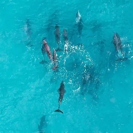 Sara & Gino's House Lägenhet *