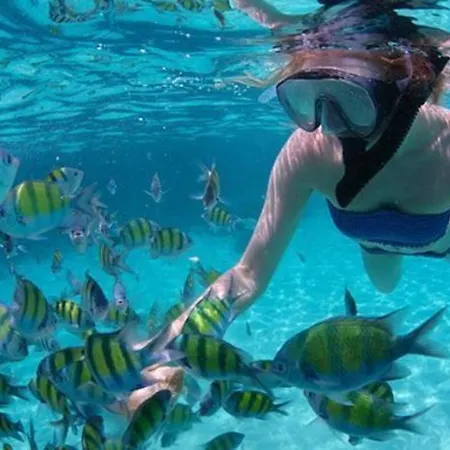 Sara & Gino's House Lägenhet *