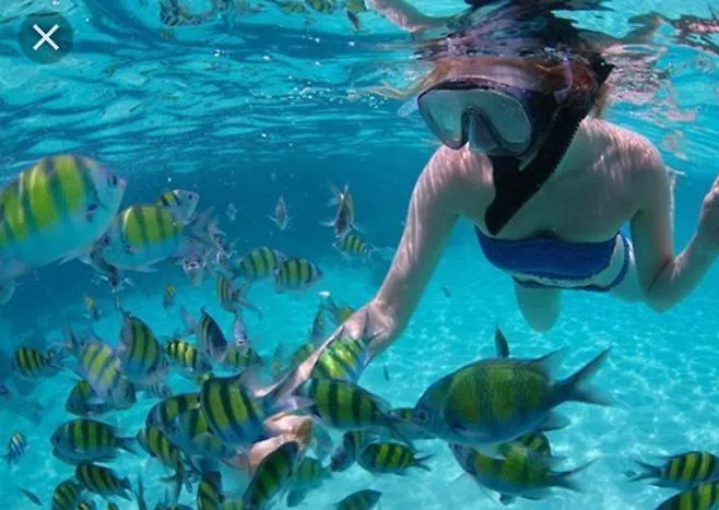 Sara & Gino Family & Friends Apartamento *