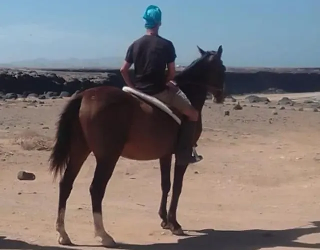 Sara & Gino Family & Friends Apartamento *