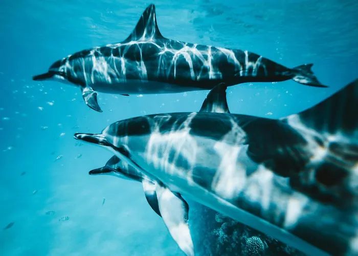 Apartamento Sara & Gino Family & Friends Corralejo