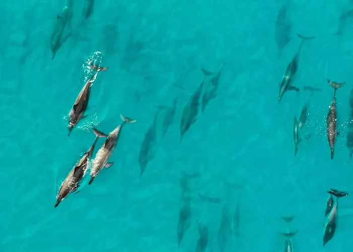 Sara & Gino Family & Friends